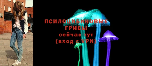 гашик Баксан